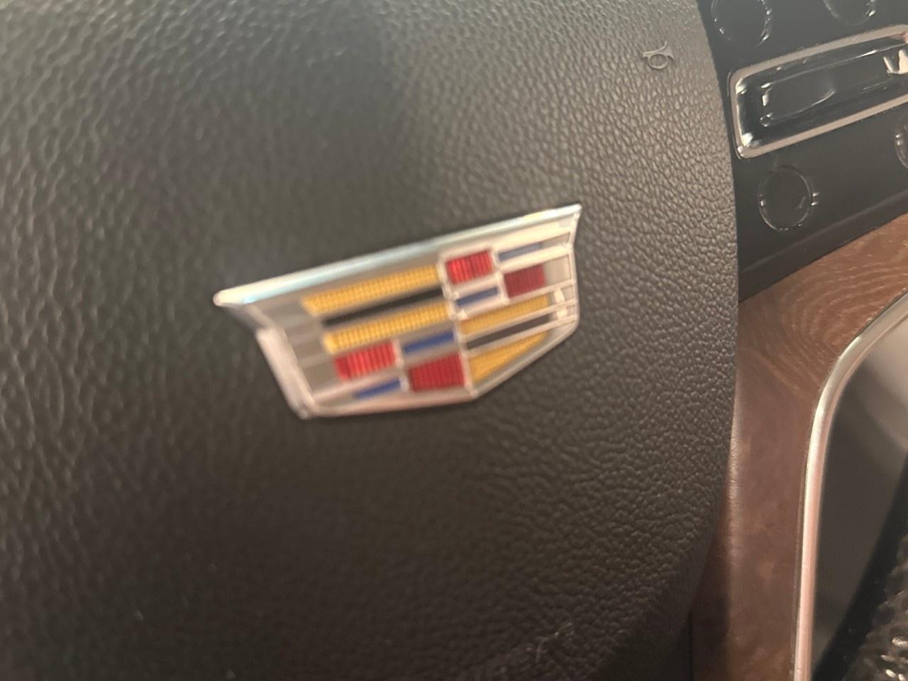 2015 Cadillac Escalade ESV Photo