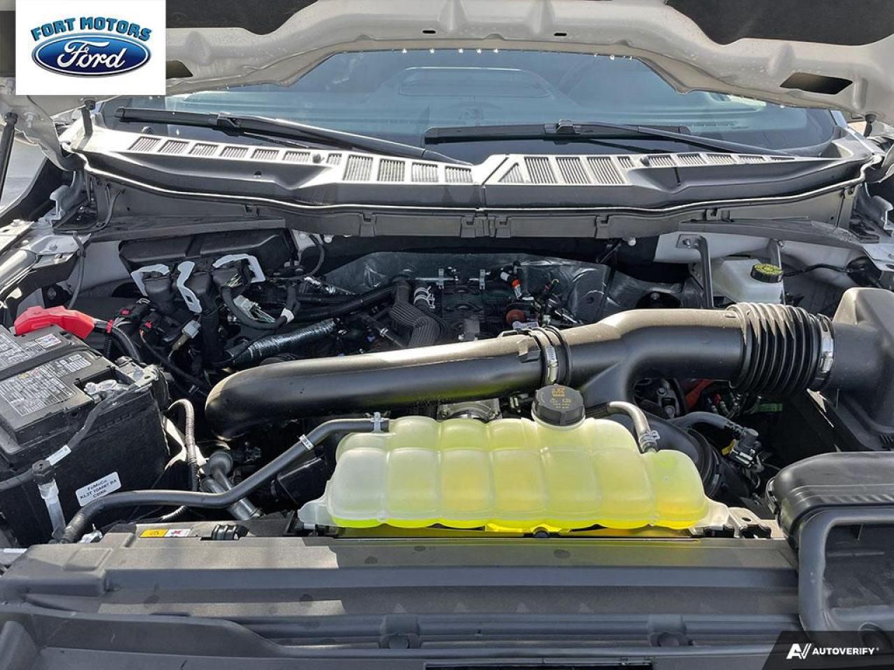 2025 Ford F-150 XLT Photo5