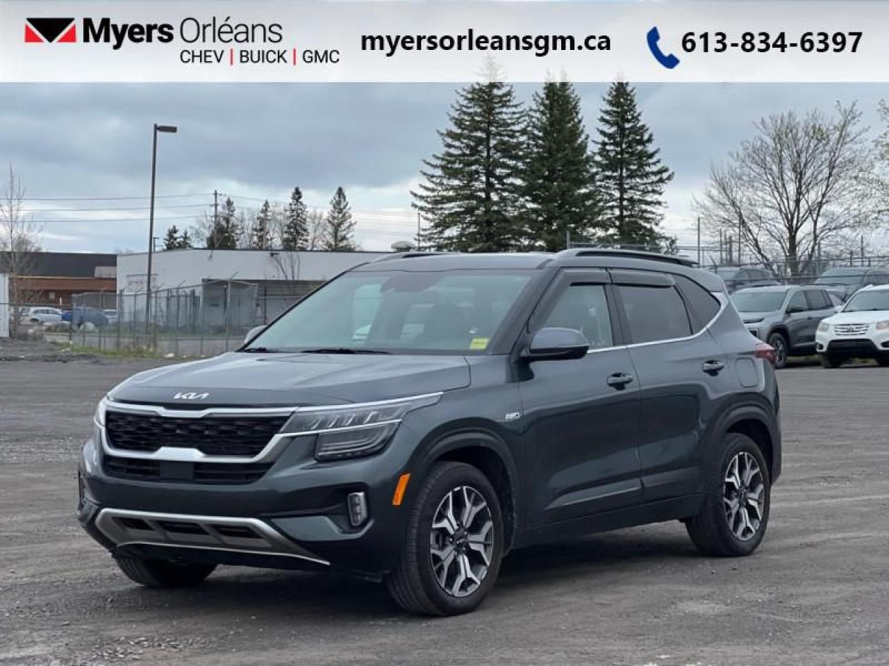 Used 2023 Kia Seltos EX PREMIUM for sale in Orleans, ON