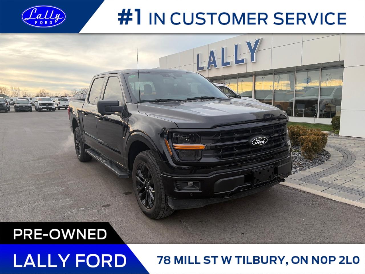 Used 2025 Ford F-150 XLT for sale in Tilbury, ON