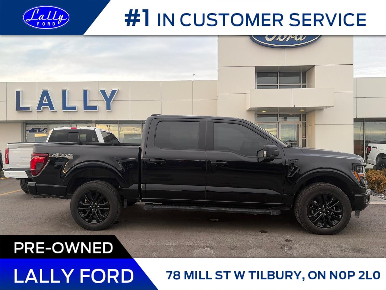 2025 Ford F-150 XLT Photo