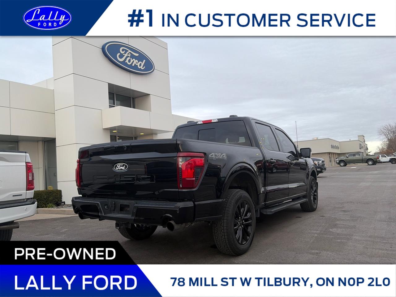 2025 Ford F-150 XLT Photo