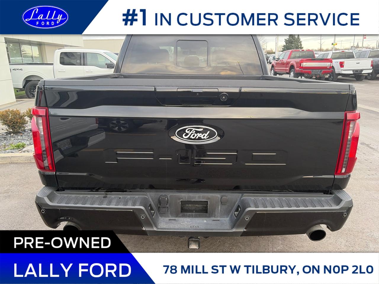 2025 Ford F-150 XLT Photo