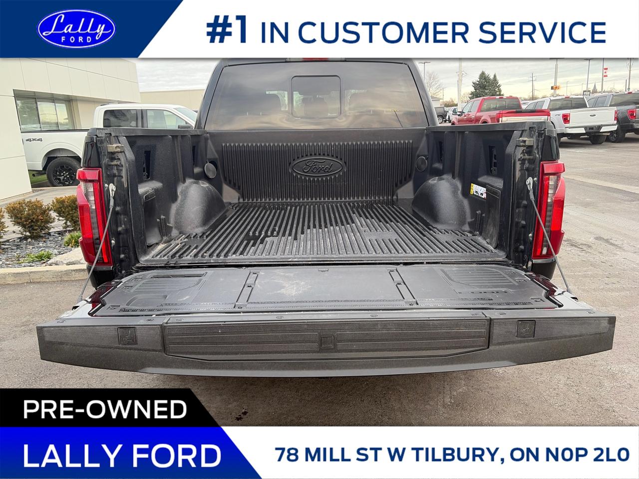 2025 Ford F-150 XLT Photo