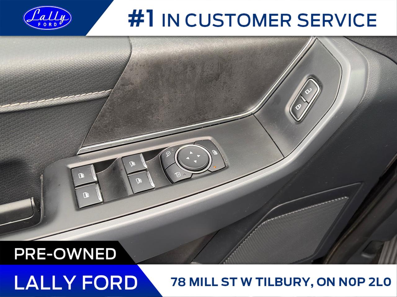 2025 Ford F-150 XLT Photo