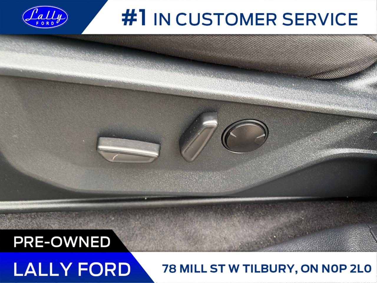 2025 Ford F-150 XLT Photo