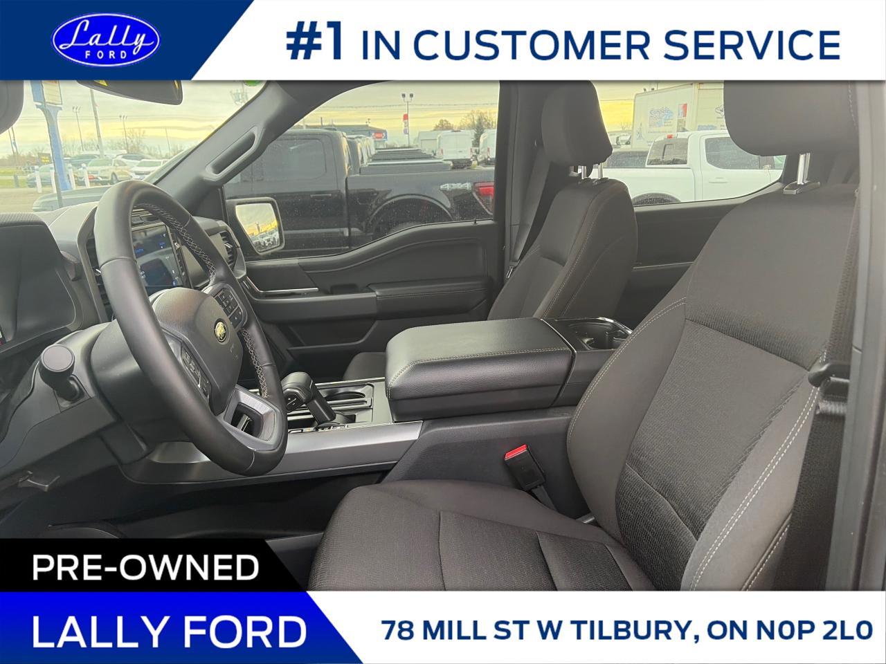 2025 Ford F-150 XLT Photo