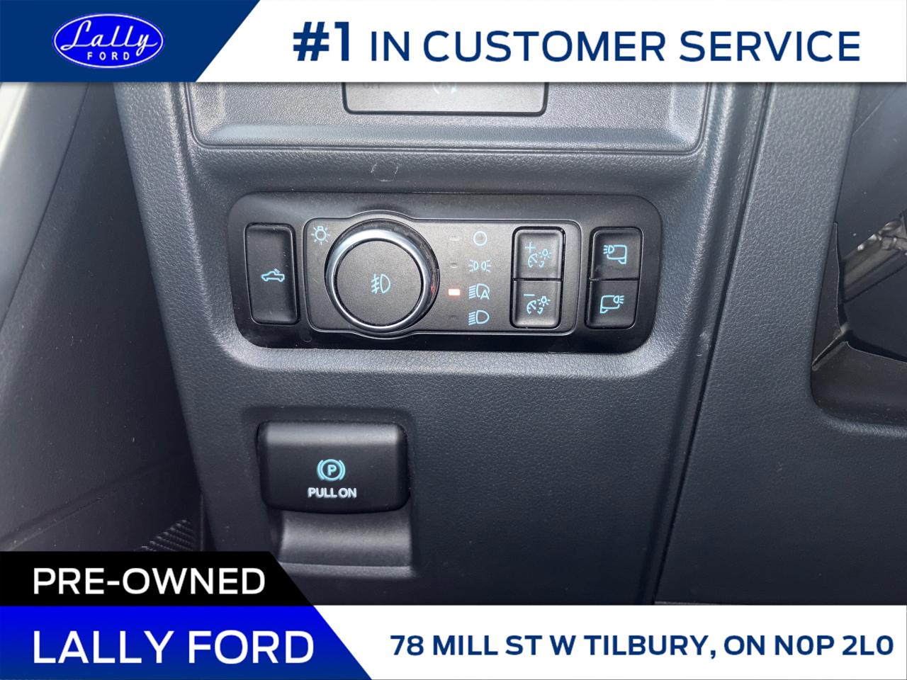 2025 Ford F-150 XLT Photo