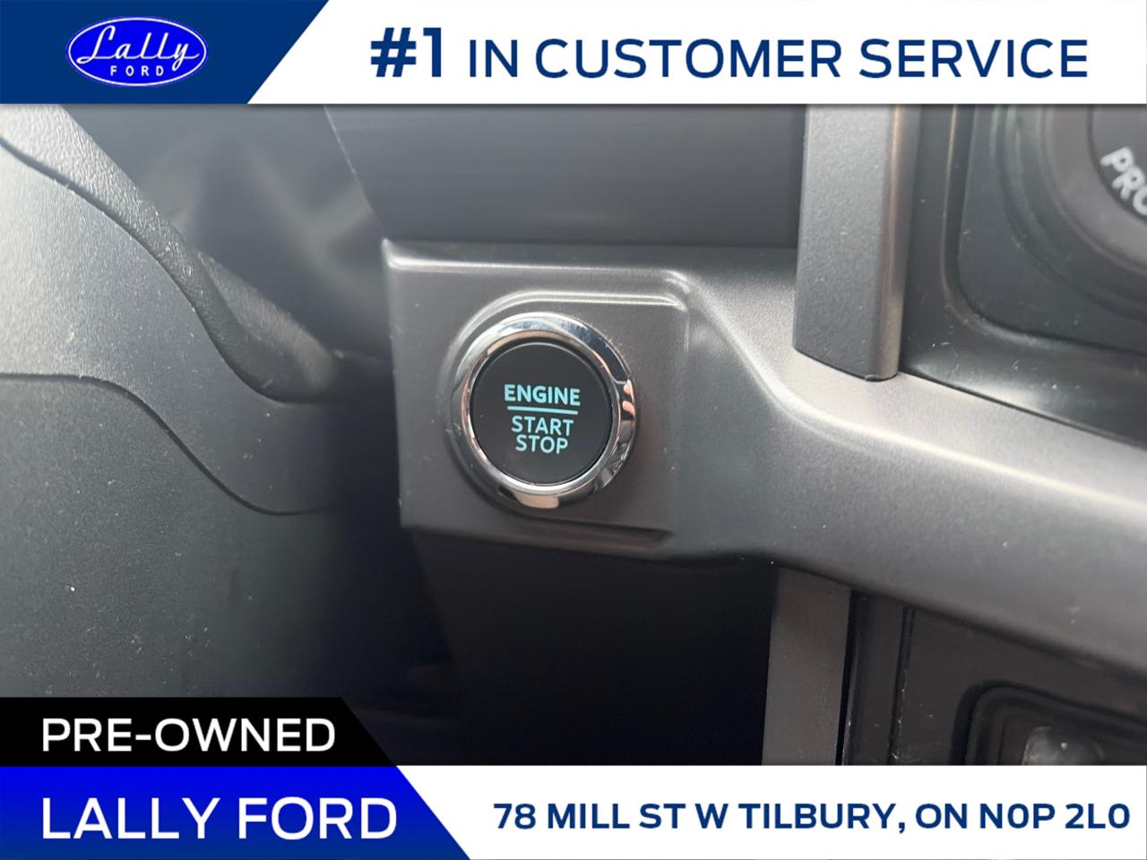 2025 Ford F-150 XLT Photo