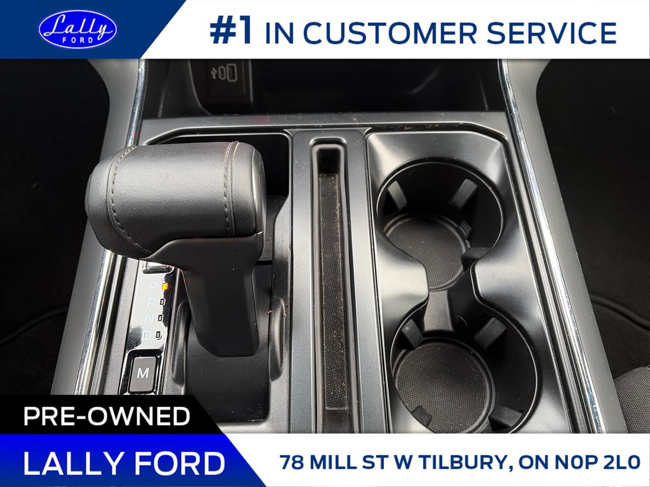 2025 Ford F-150 XLT Photo