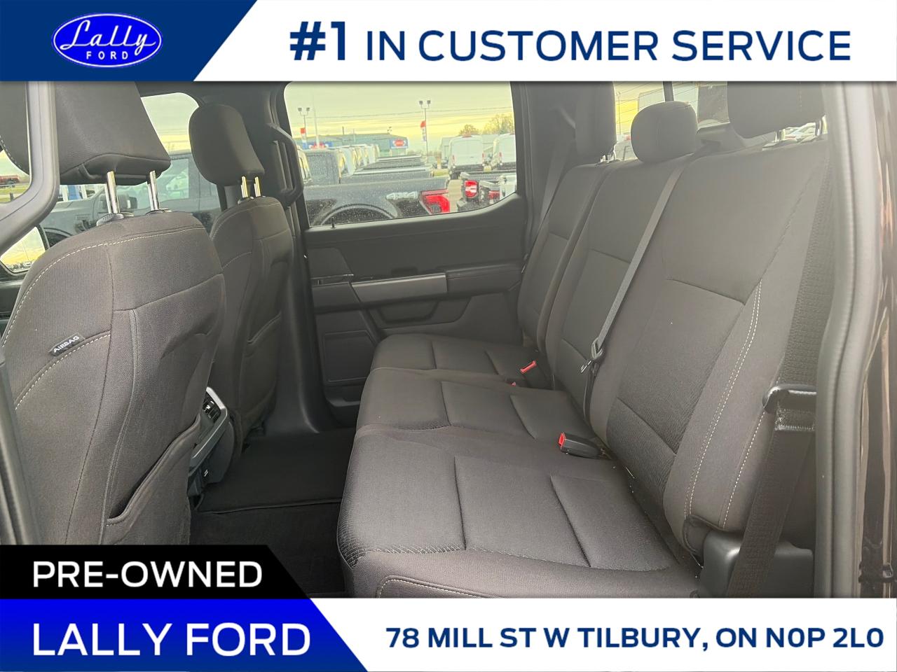 2025 Ford F-150 XLT Photo