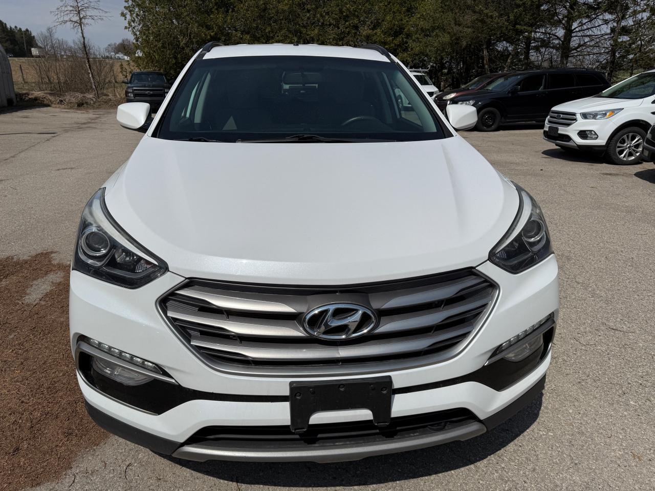 2018 Hyundai Santa Fe Sport  - Photo #18