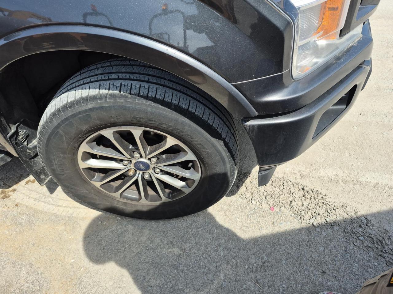 2019 Ford F-150 SUPERCREW - Photo #14