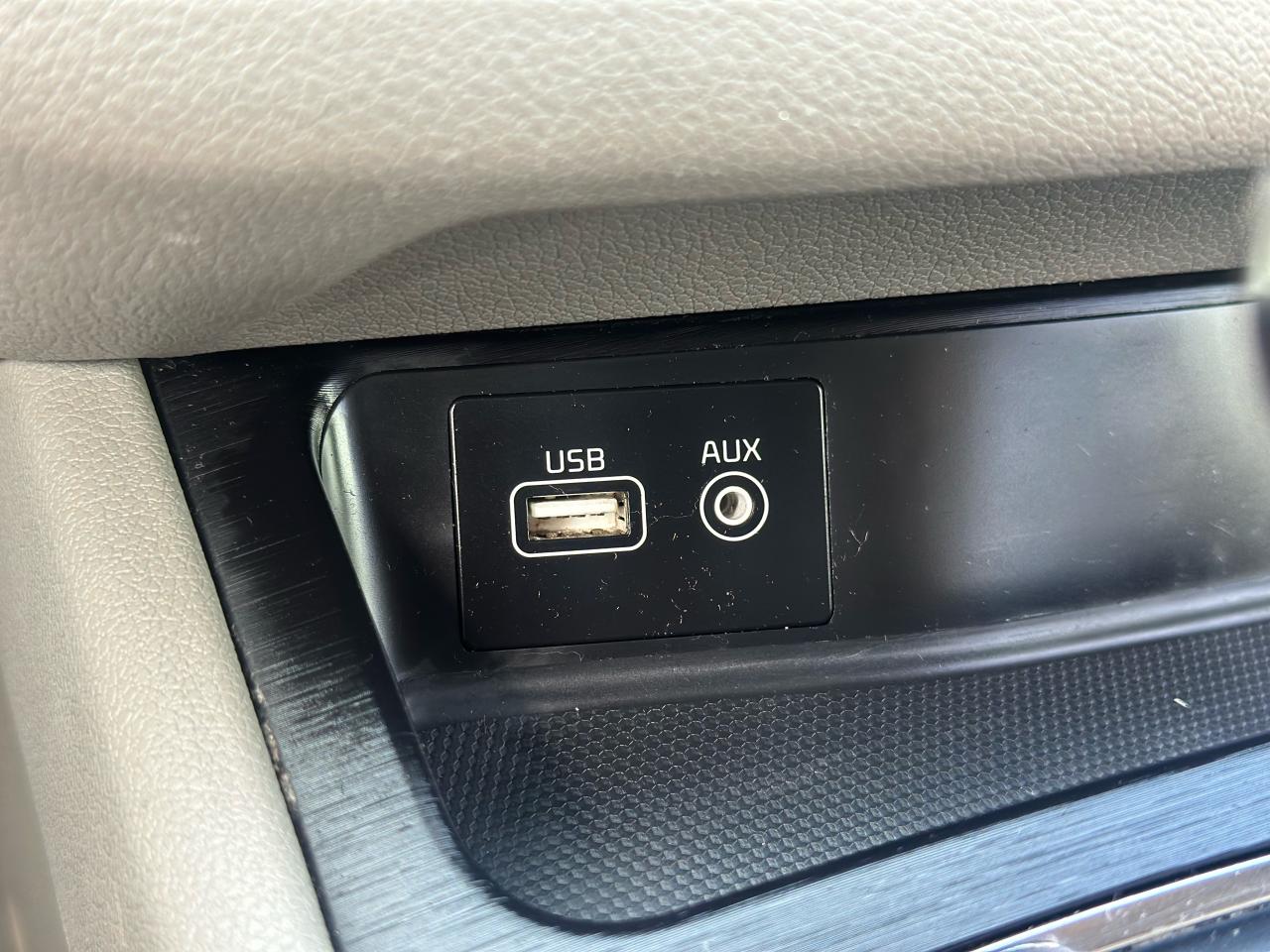 2016 Kia Sedona  - Photo #14