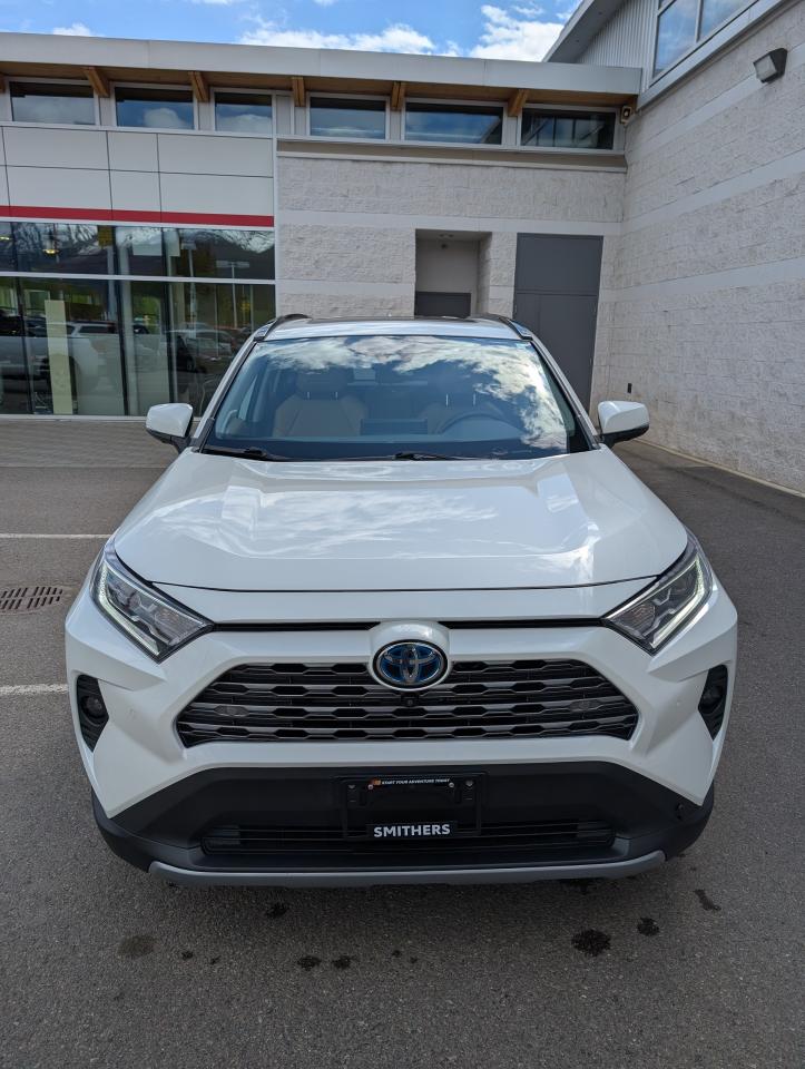2020 Toyota RAV4 Hybrid Limited Photo