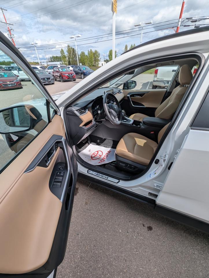2020 Toyota RAV4 Hybrid Limited Photo