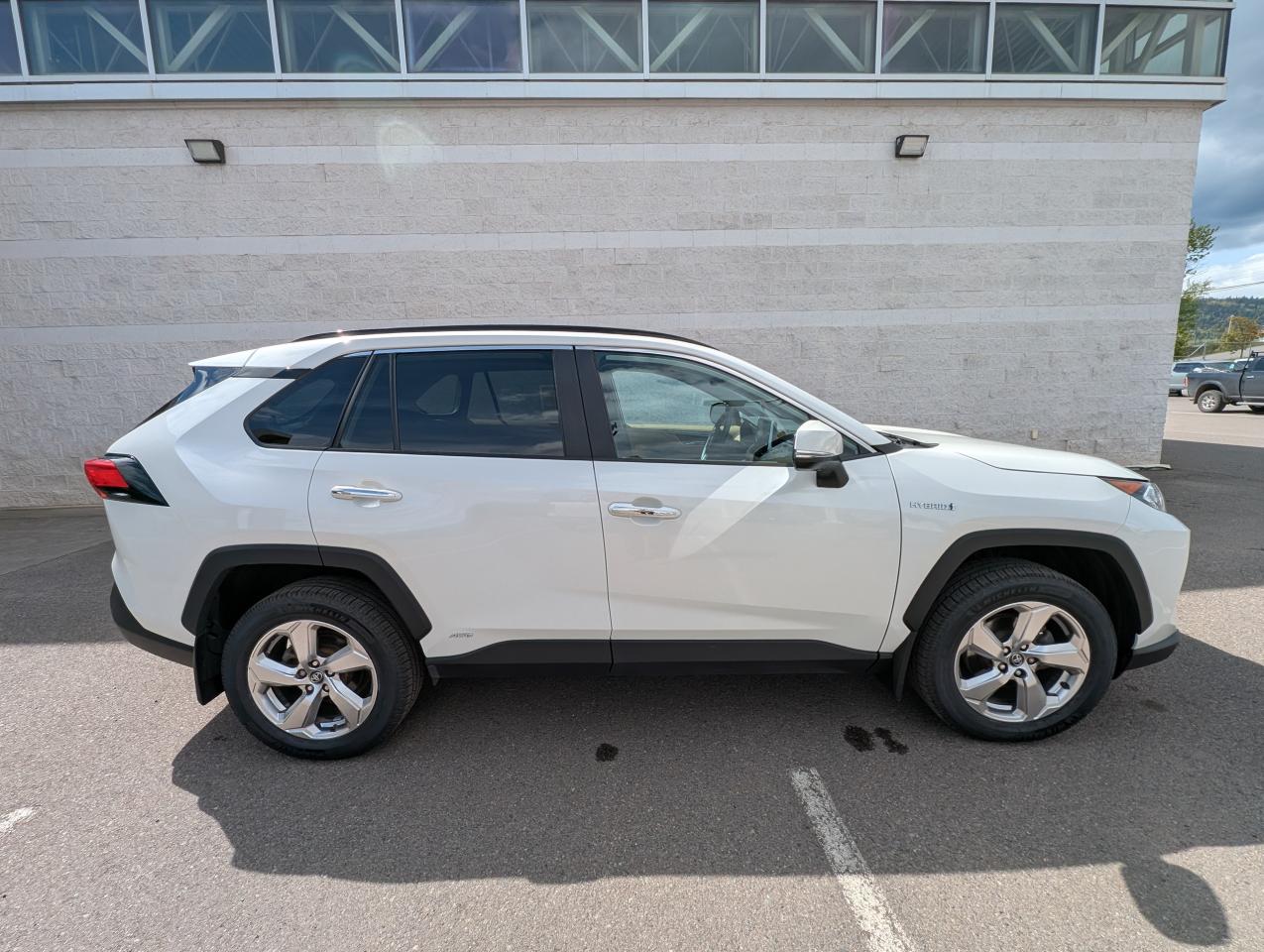 2020 Toyota RAV4 Hybrid Limited Photo