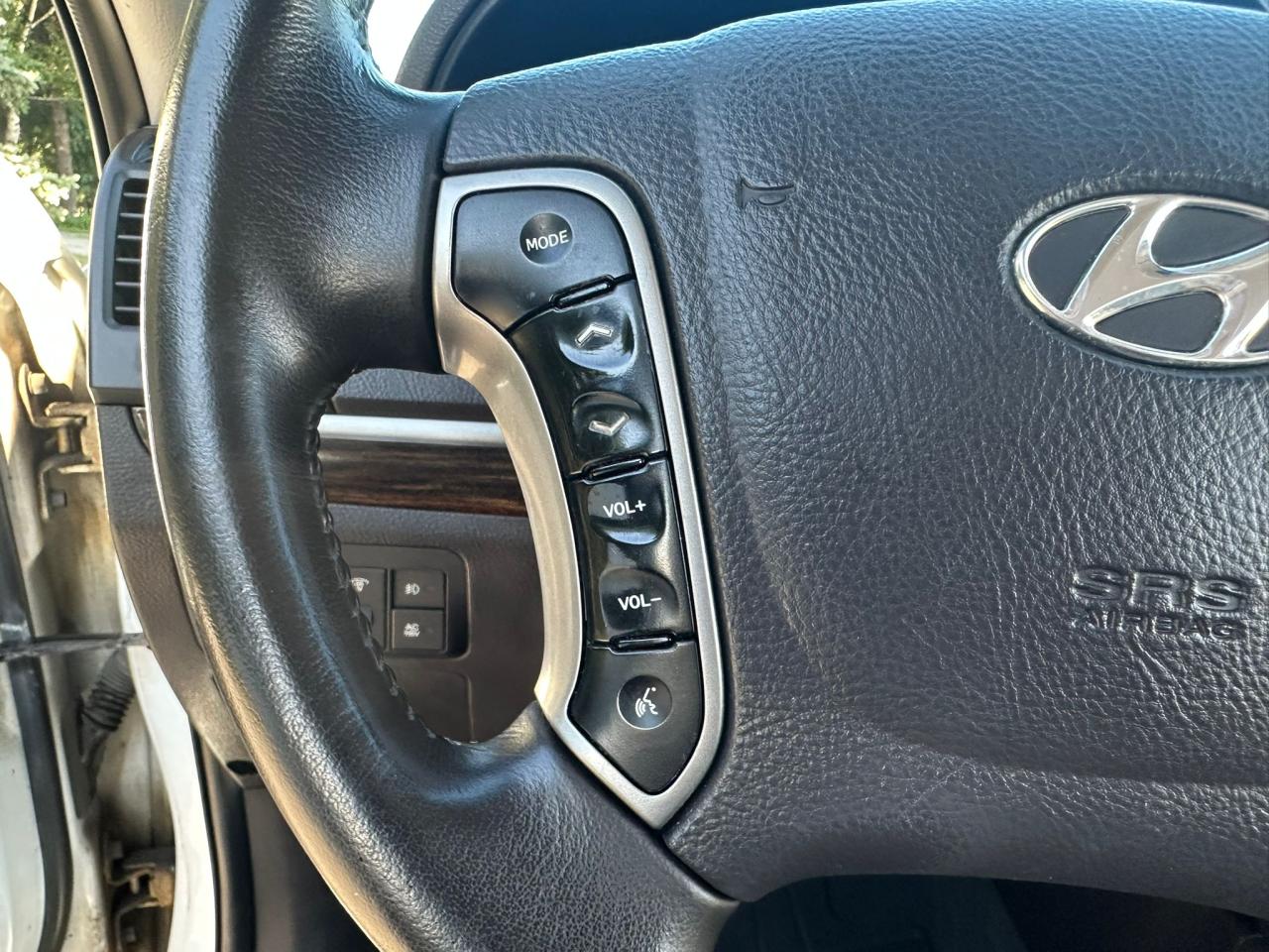 2010 Hyundai Santa Fe AWD 4dr V6 Auto Limited - Photo #25