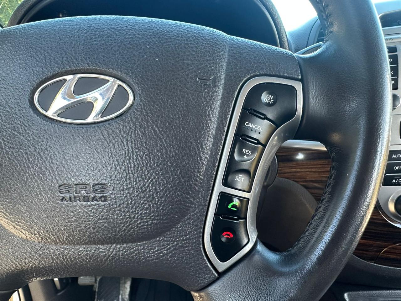 2010 Hyundai Santa Fe AWD 4dr V6 Auto Limited - Photo #24