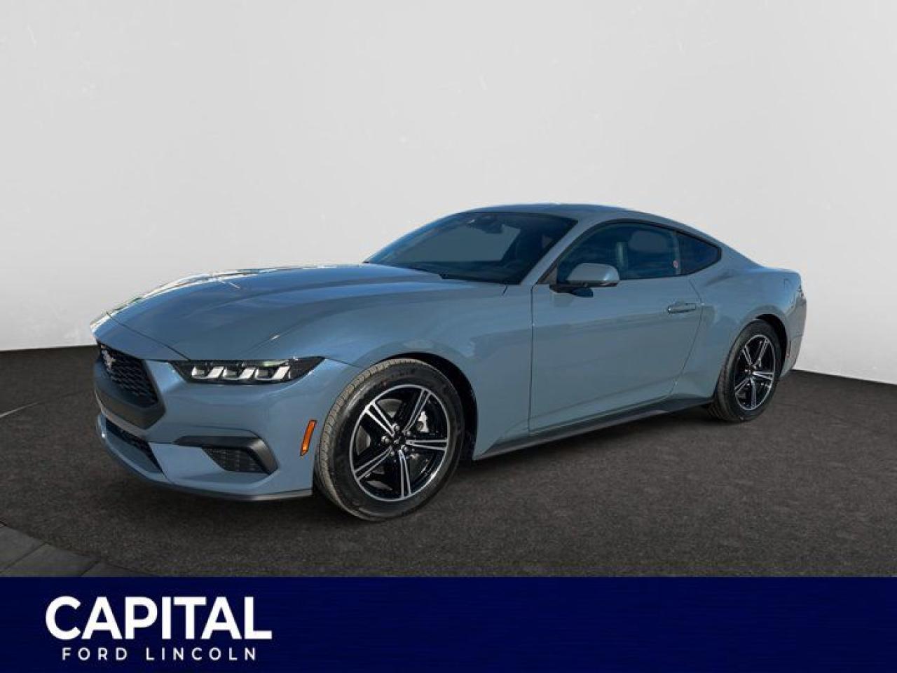 New 2025 Ford Mustang EcoBoost Premium for sale in Regina, SK