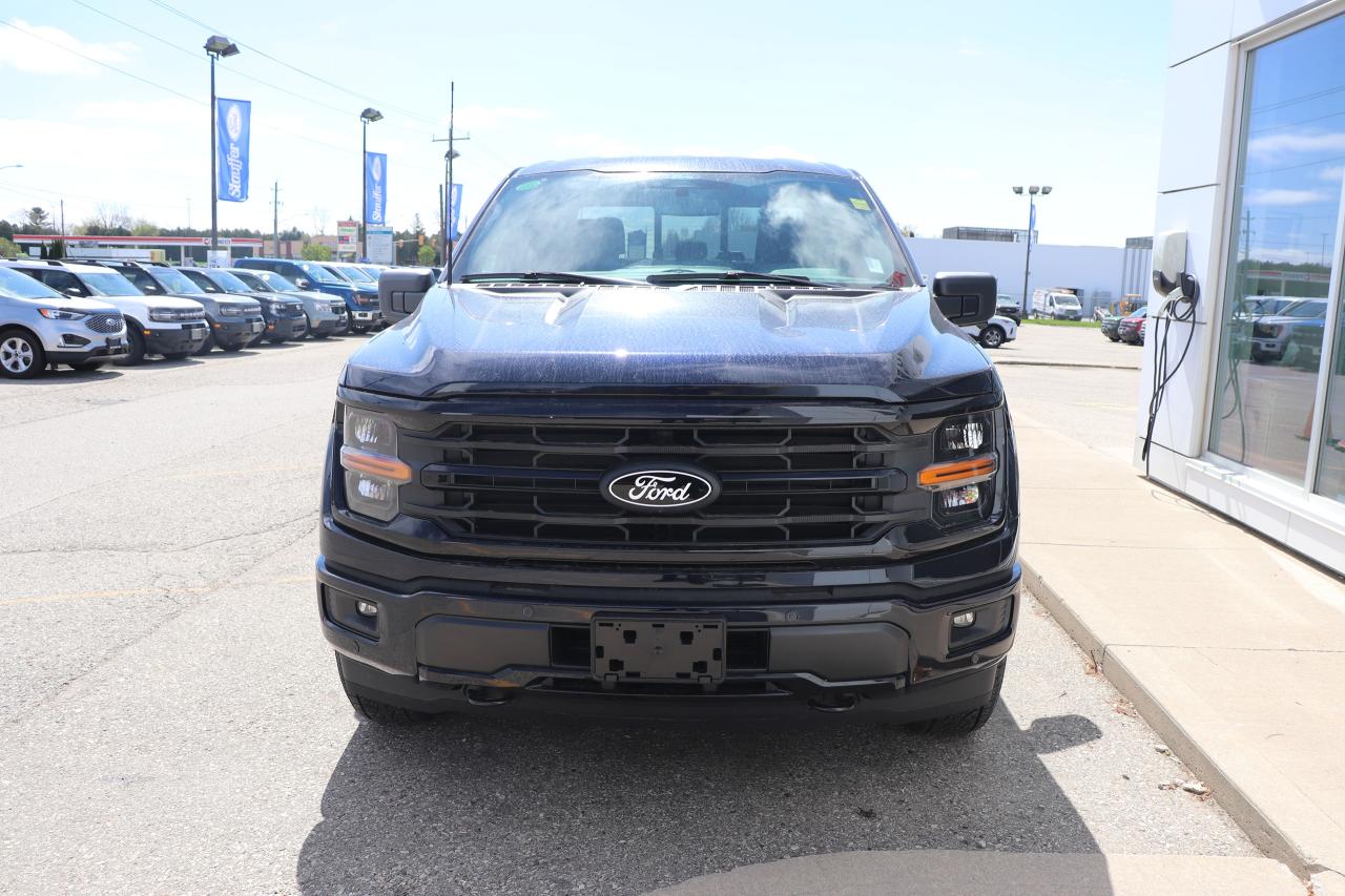 2025 Ford F-150 XLT 4WD SuperCrew 5.5' Box Photo4