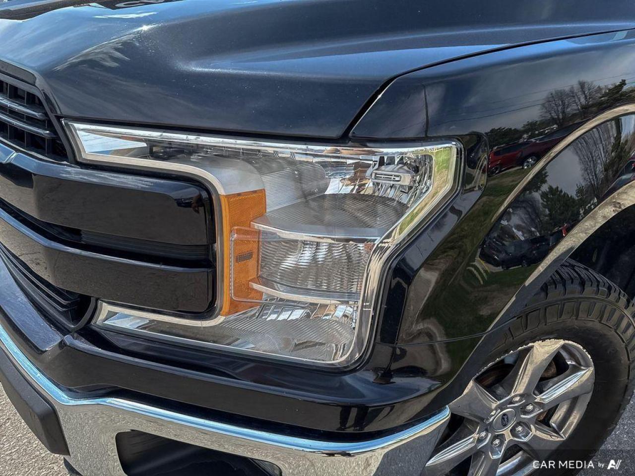 2019 Ford F-150 XLT / CHROME WHEELS / 4X4 /CREW CAB / NO ACCIDENTS - Photo #8