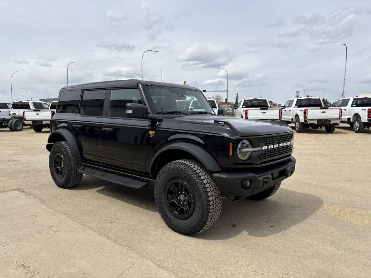 2025 Ford Bronco Badlands 334A Photo0