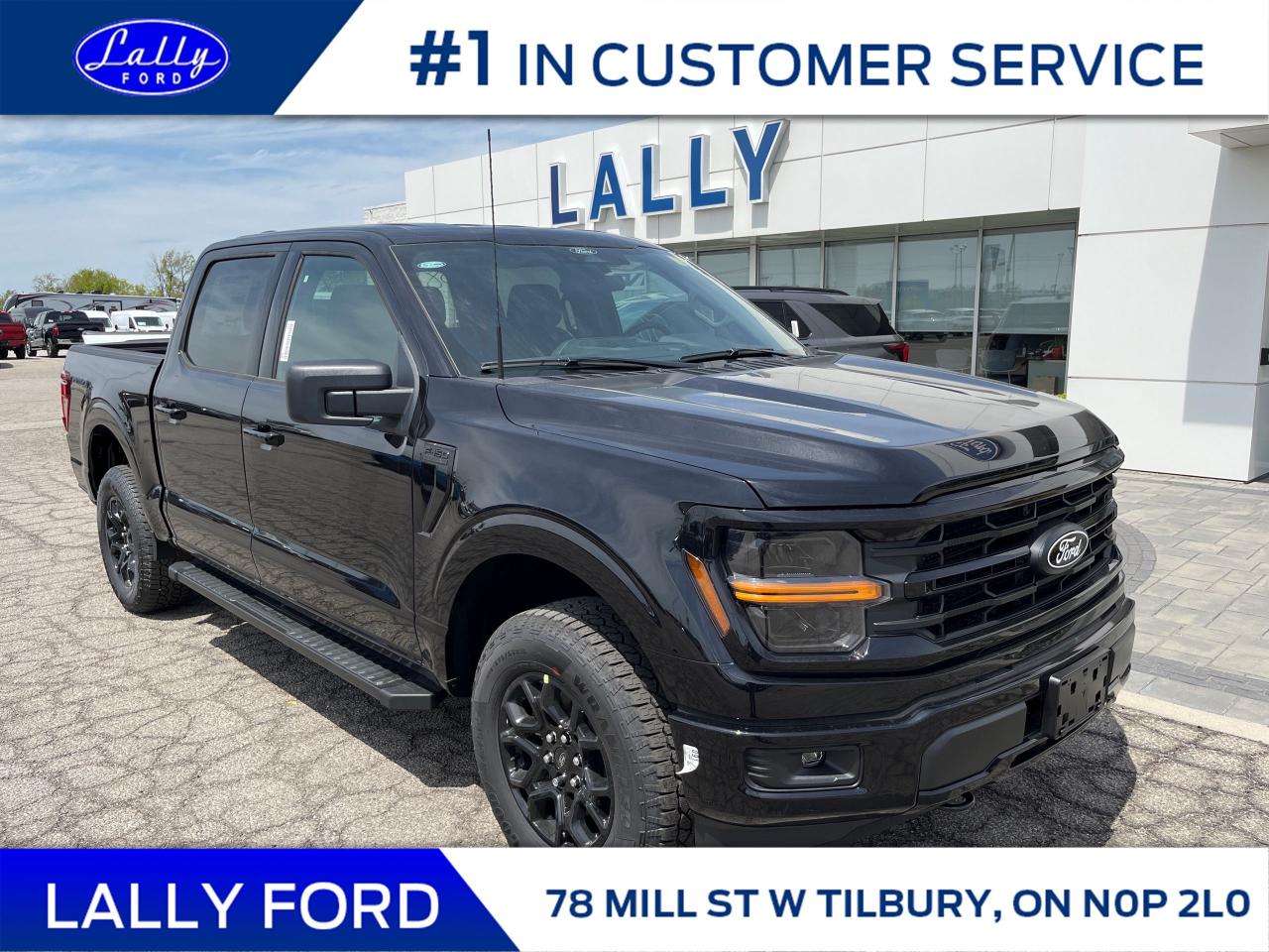 New 2025 Ford F-150 XLT for sale in Tilbury, ON