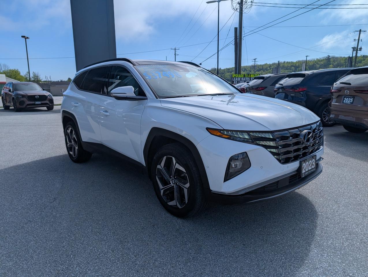 2023 Hyundai Tucson Hybrid Ultimate Photo
