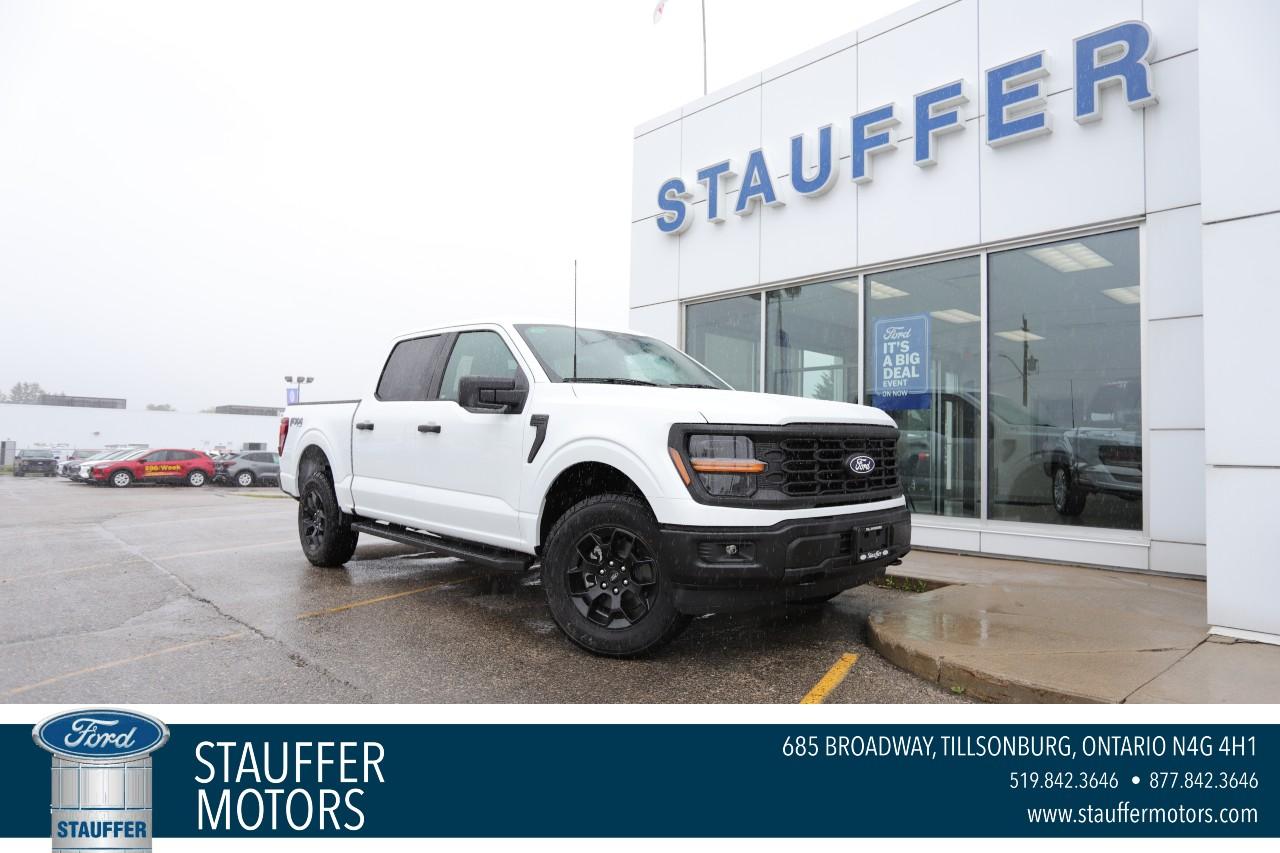 2025 Ford F-150 STX 4WD SuperCrew 5.5' Box Photo0
