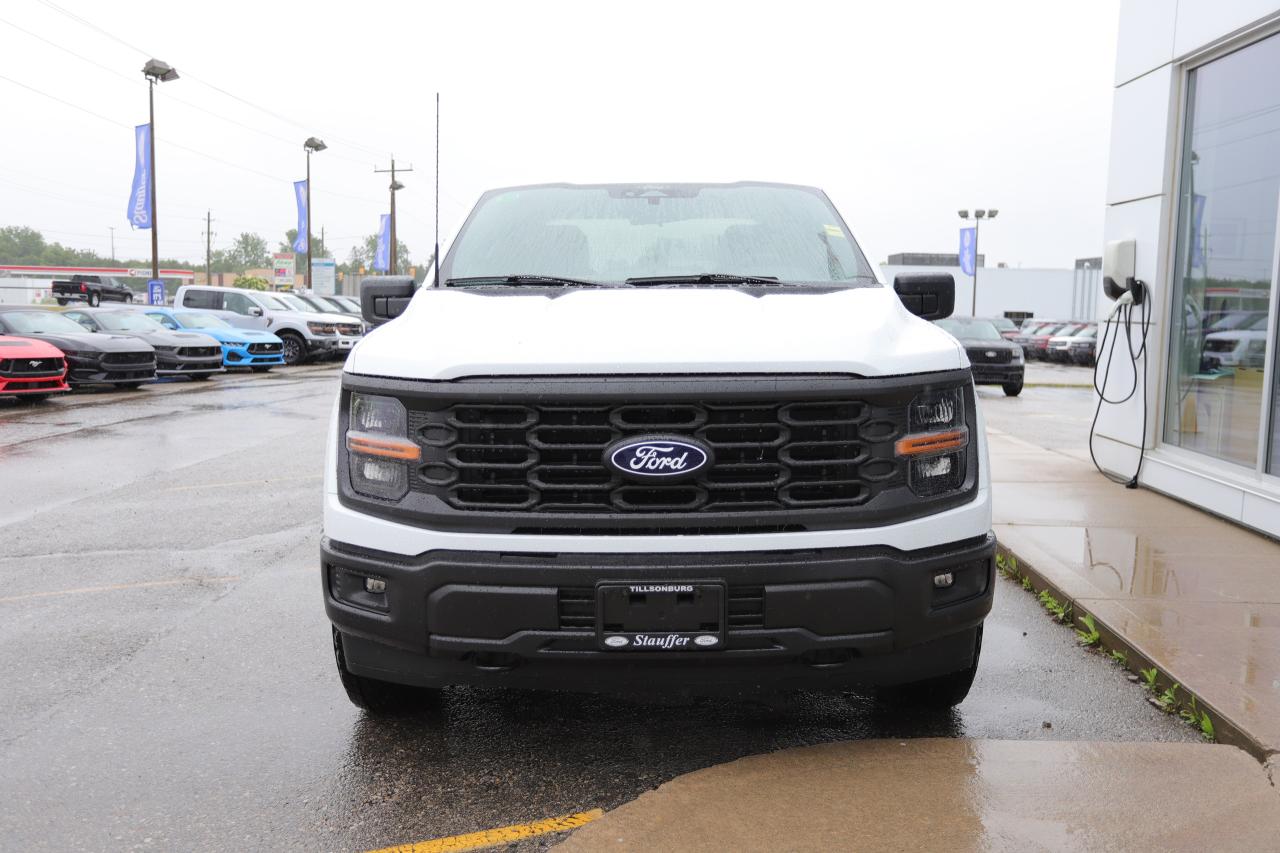2025 Ford F-150 STX 4WD SuperCrew 5.5' Box Photo5