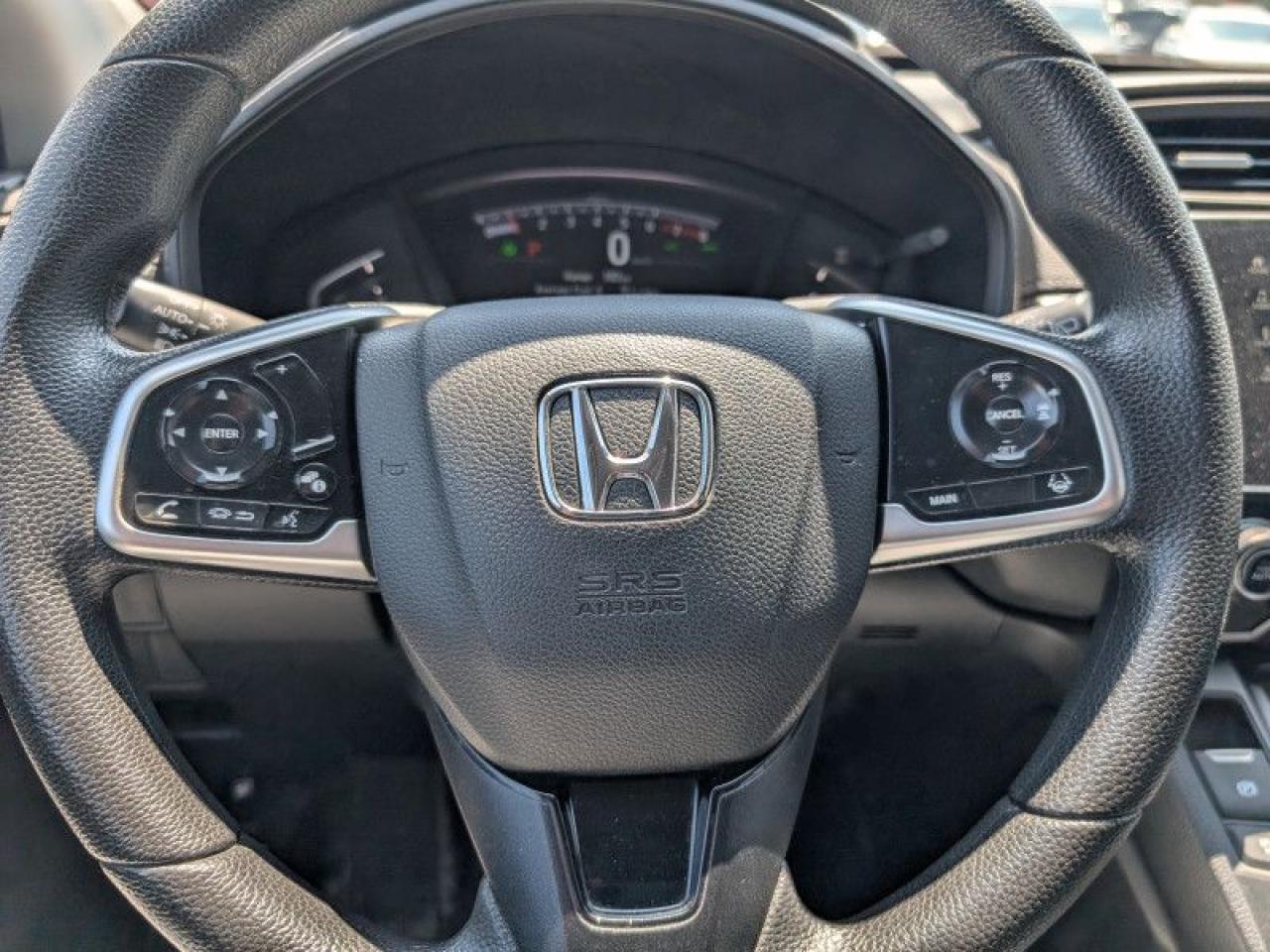 12450202