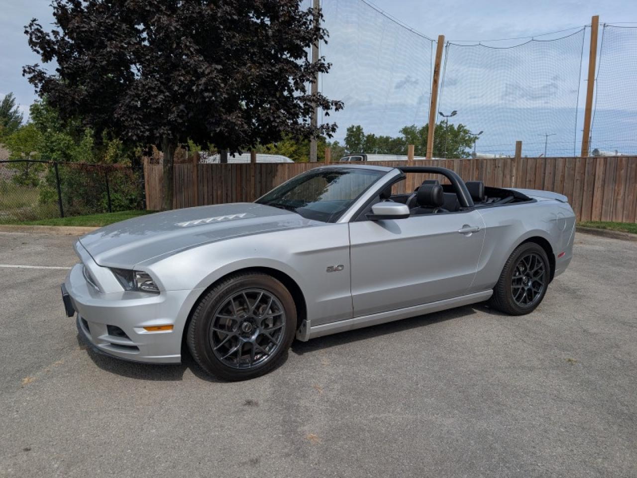 2013 Ford Mustang GT Premium  **LOW KMS - CONVERTIBLE** Photo2