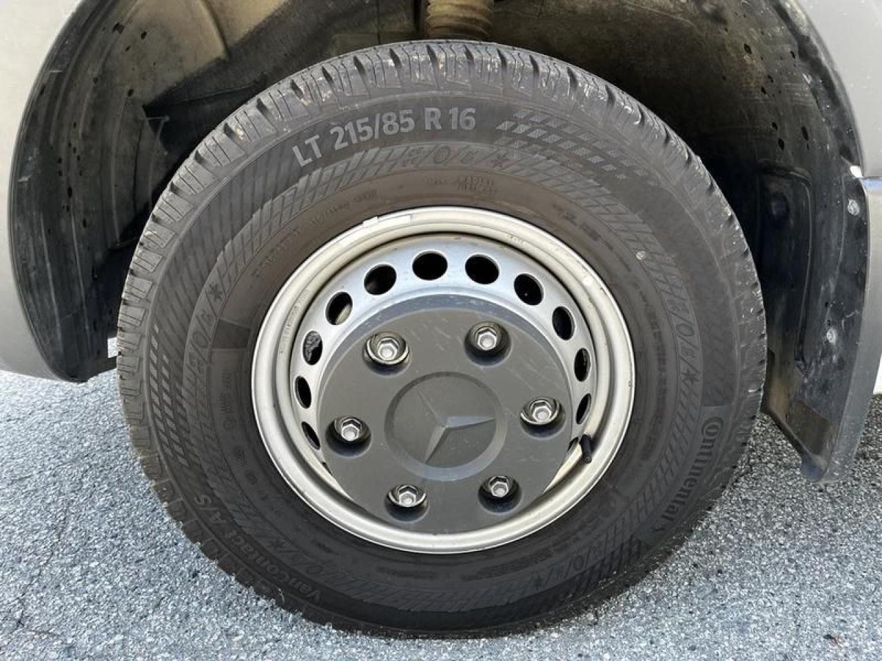 12450397