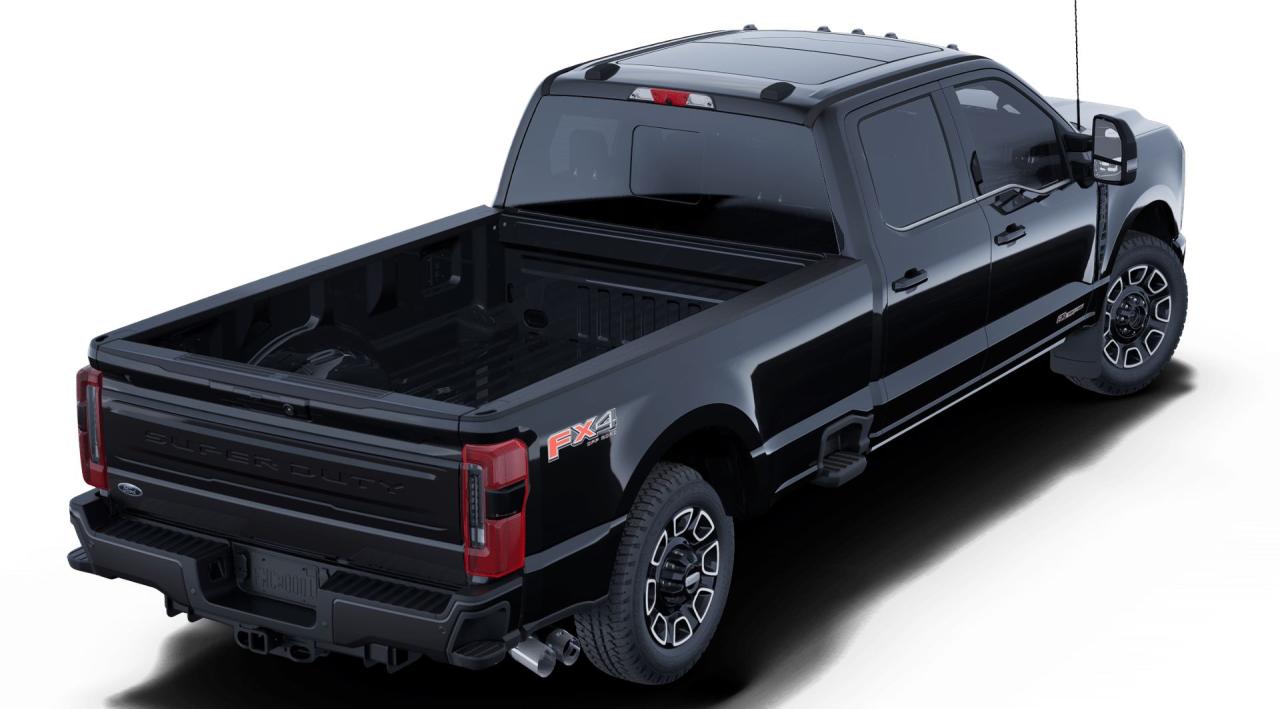 2025 Ford F-350 Super Duty SRW PLATINUM Photo2