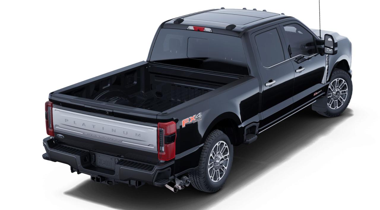 2025 Ford F-350 Super Duty SRW PLATINUM Photo5