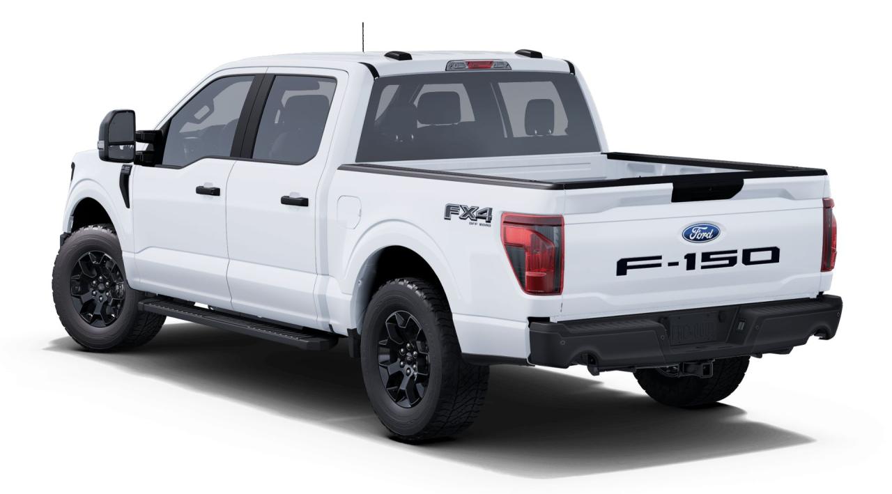 2025 Ford F-150 4X4 SUPERCREW - 145 Photo