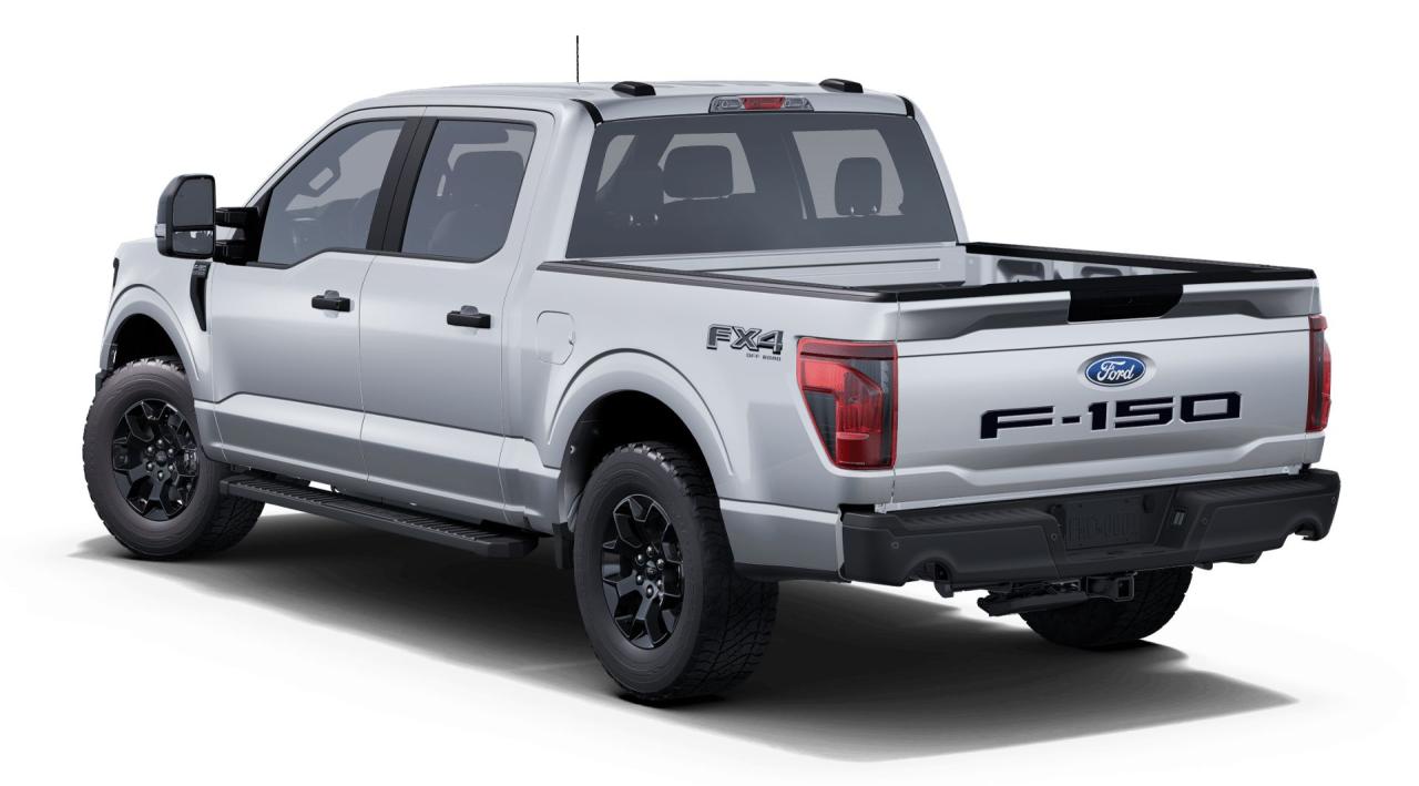 2025 Ford F-150 STX Photo5