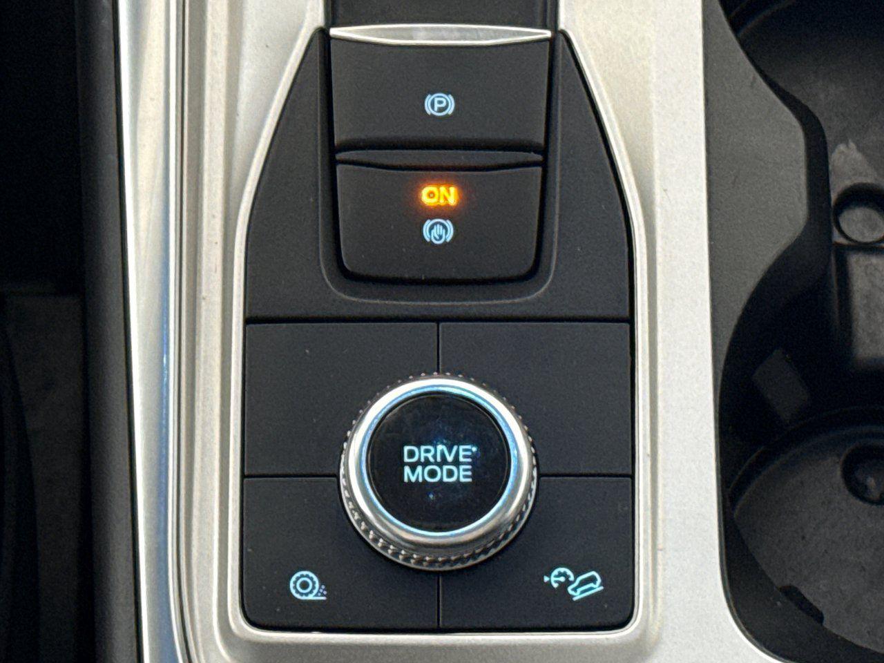 12450631