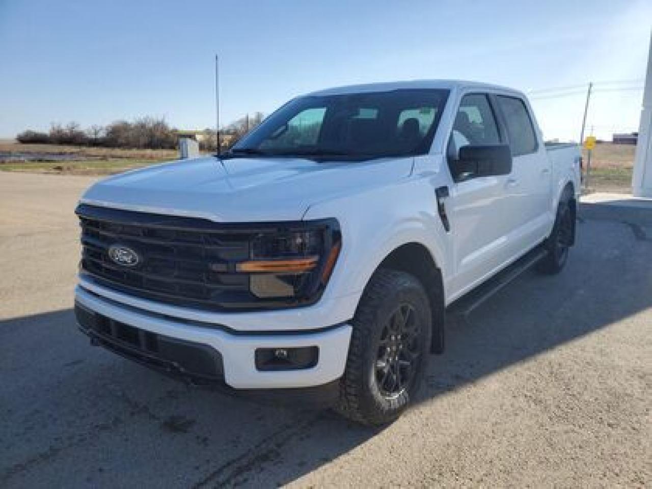 New 2025 Ford F-150 XLT W/ REAR VIEW CAMERA for sale in Moose Jaw, SK