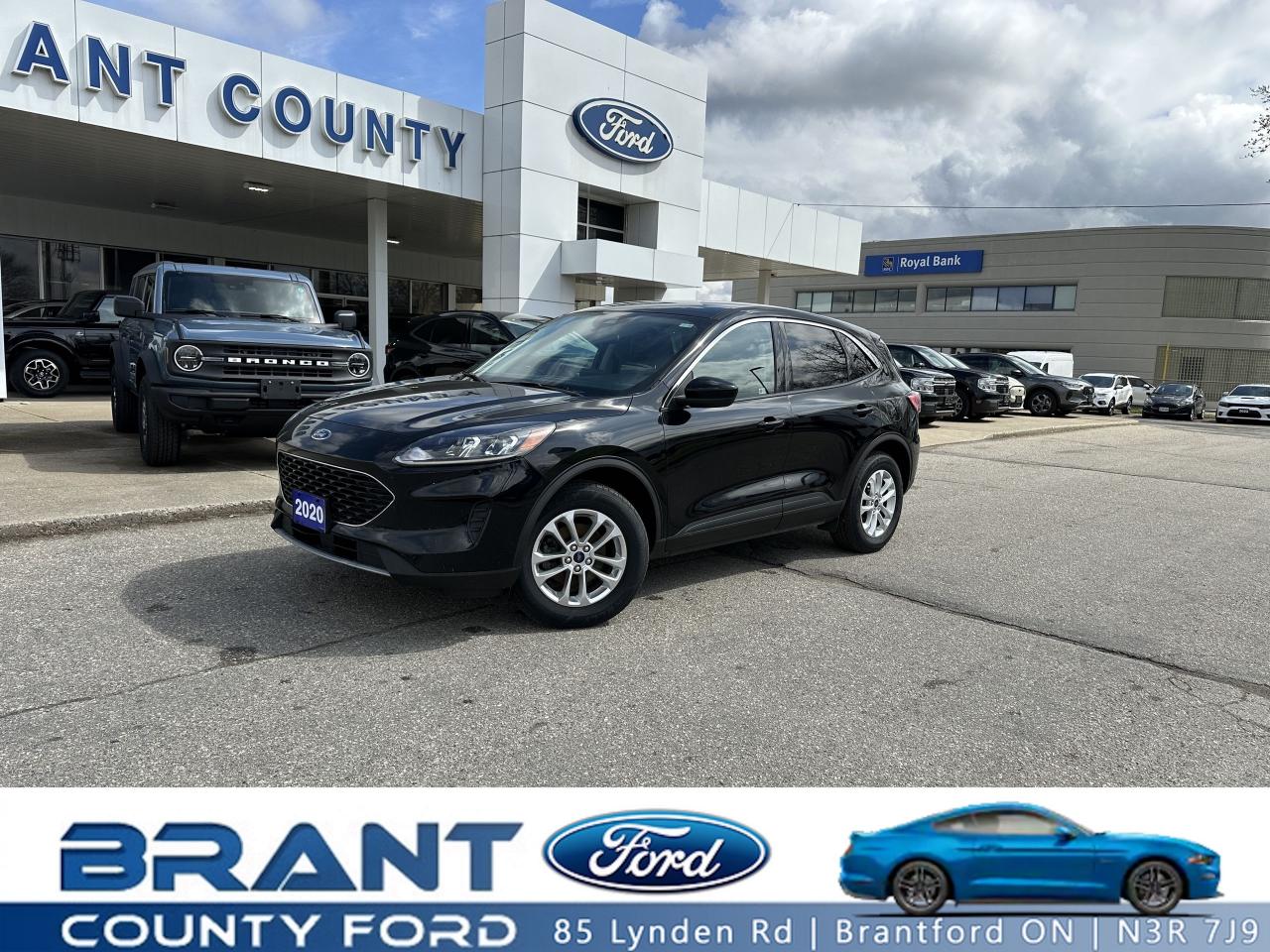 Used 2020 Ford Escape SE for sale in Brantford, ON