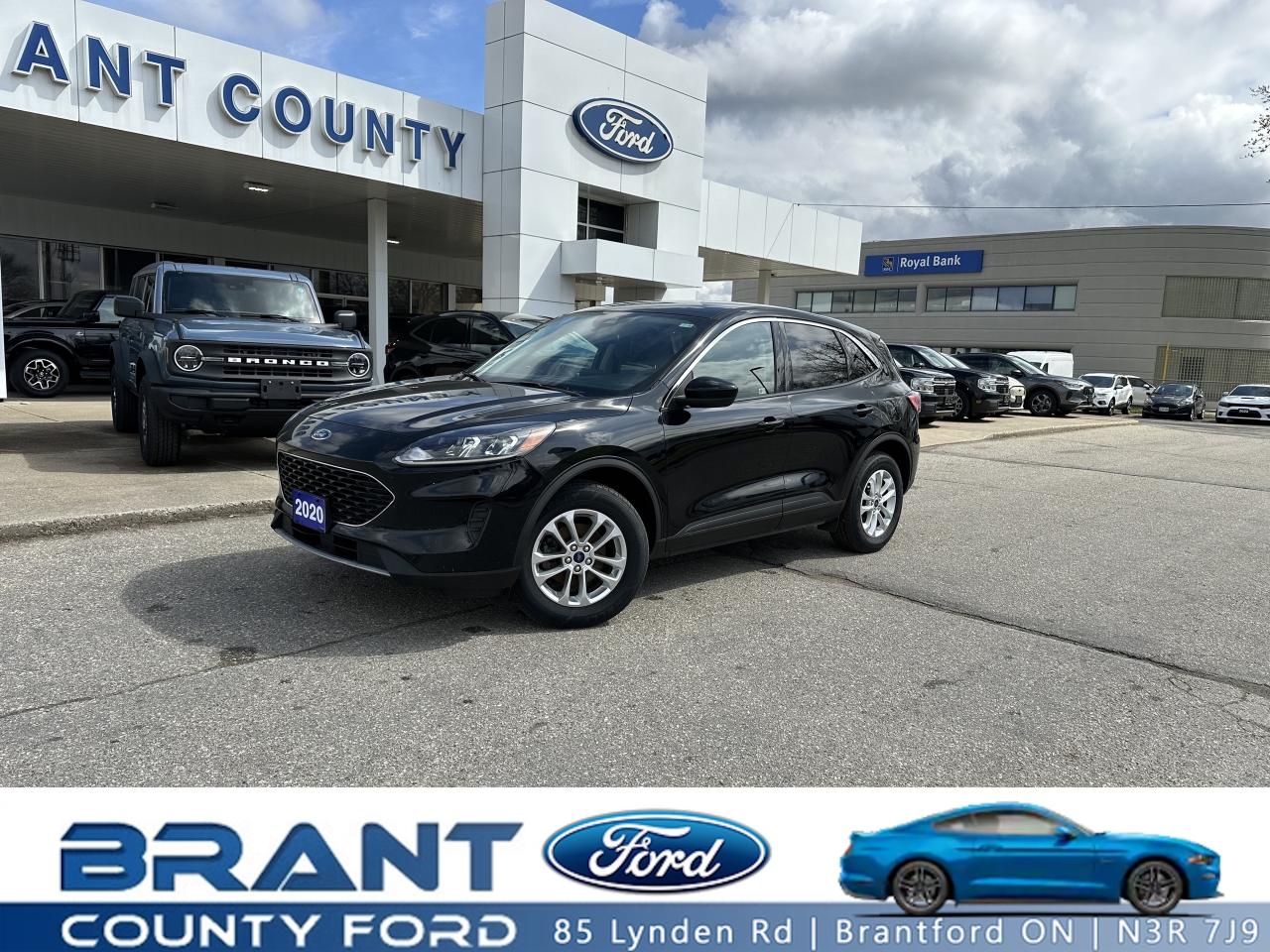 Used 2020 Ford Escape SE for sale in Brantford, ON