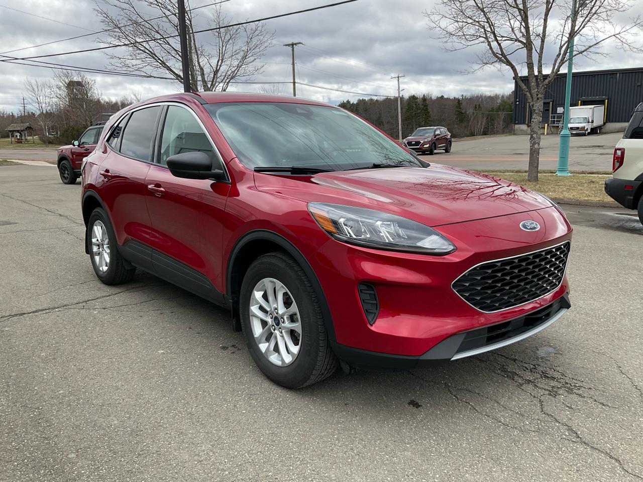2022 Ford Escape SE Photo5