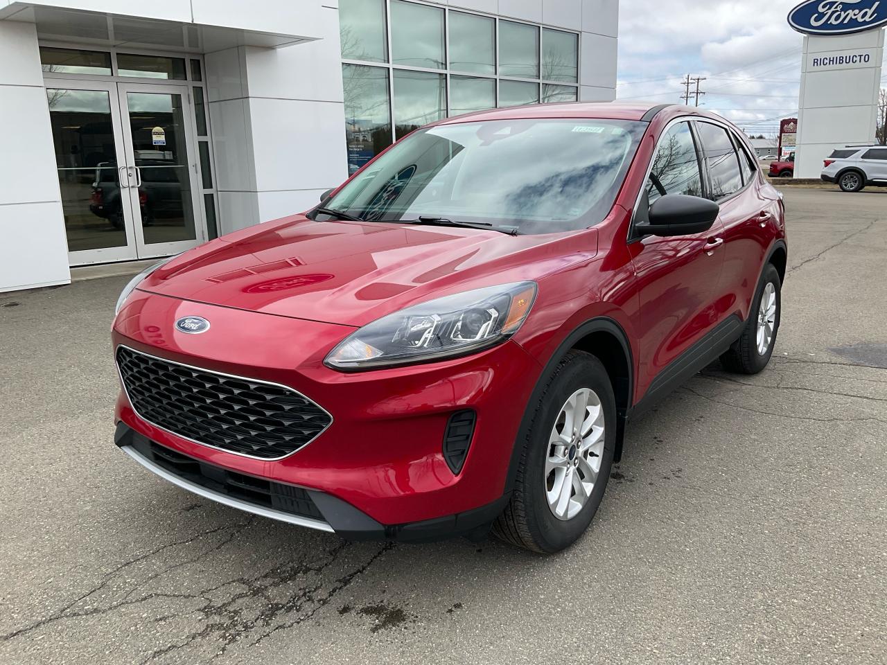 Used 2022 Ford Escape SE for sale in Richibucto, NB