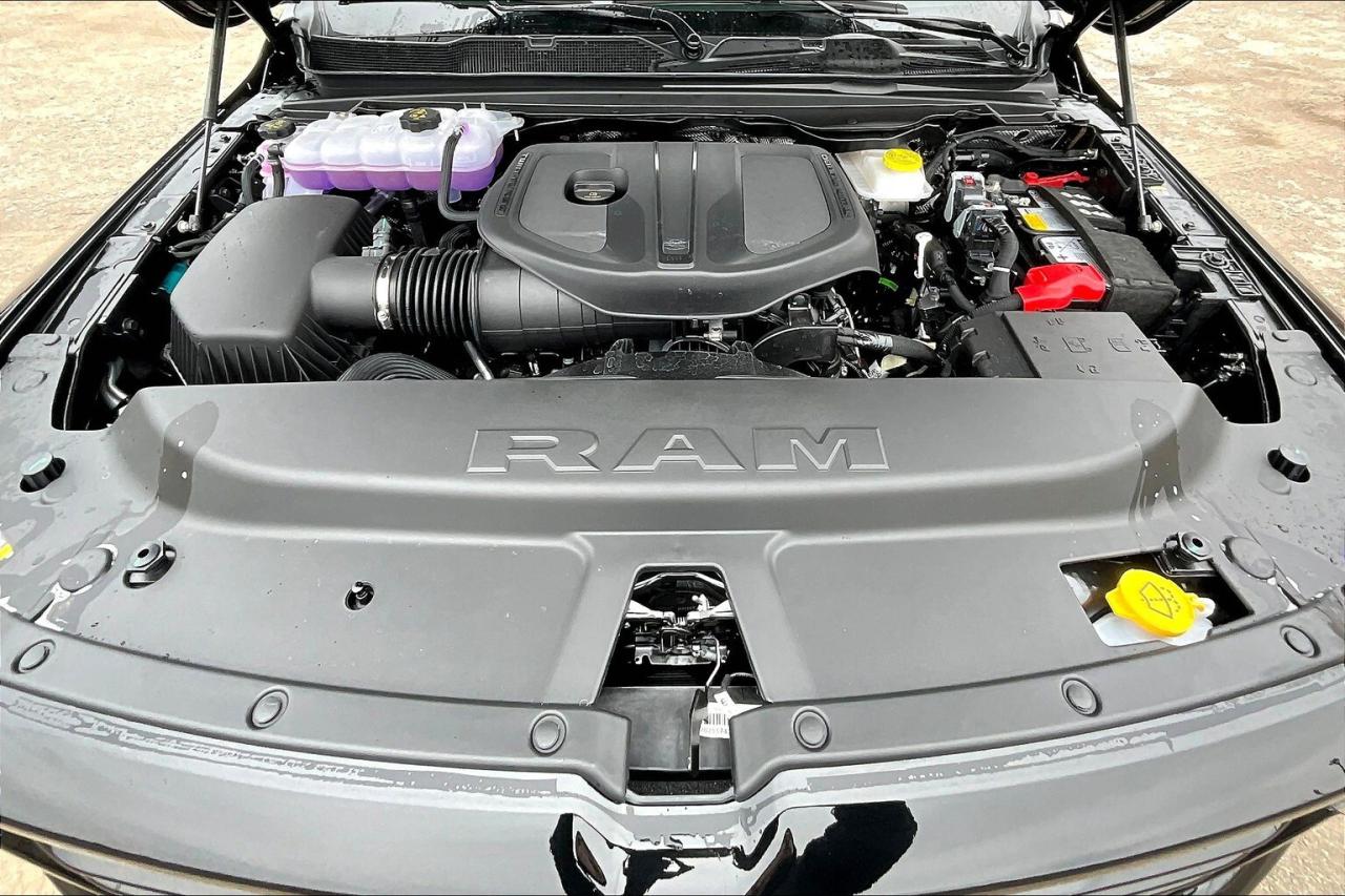 12454531