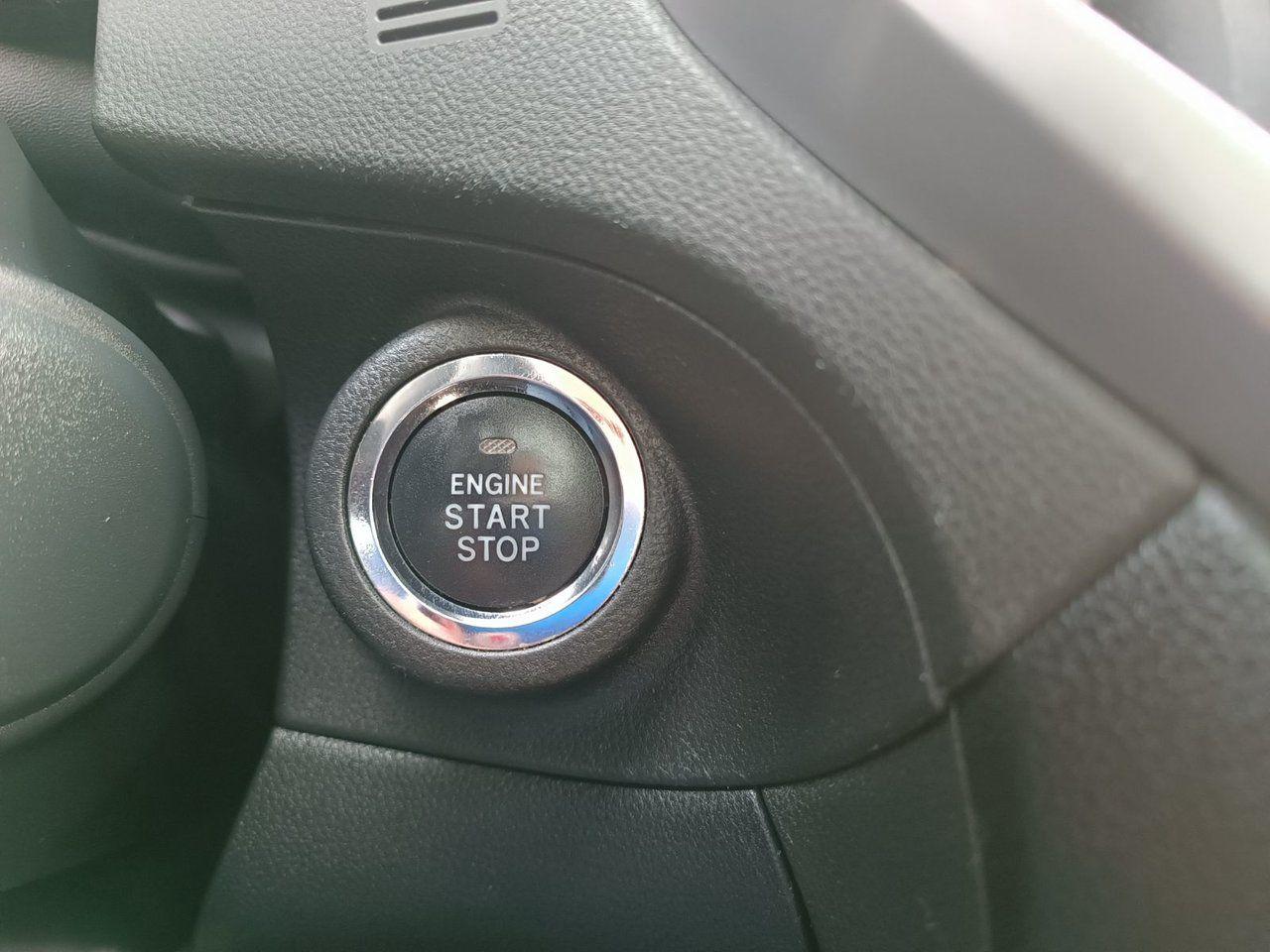 12455598