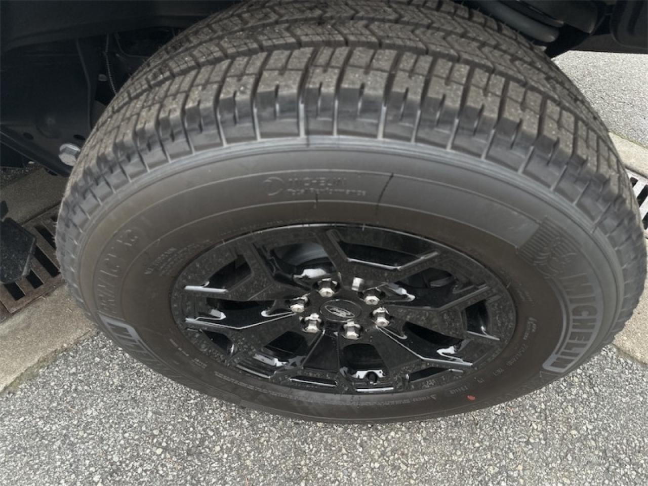 2025 Ford F-150 Lightning XLT  - Tailgate Step Photo5