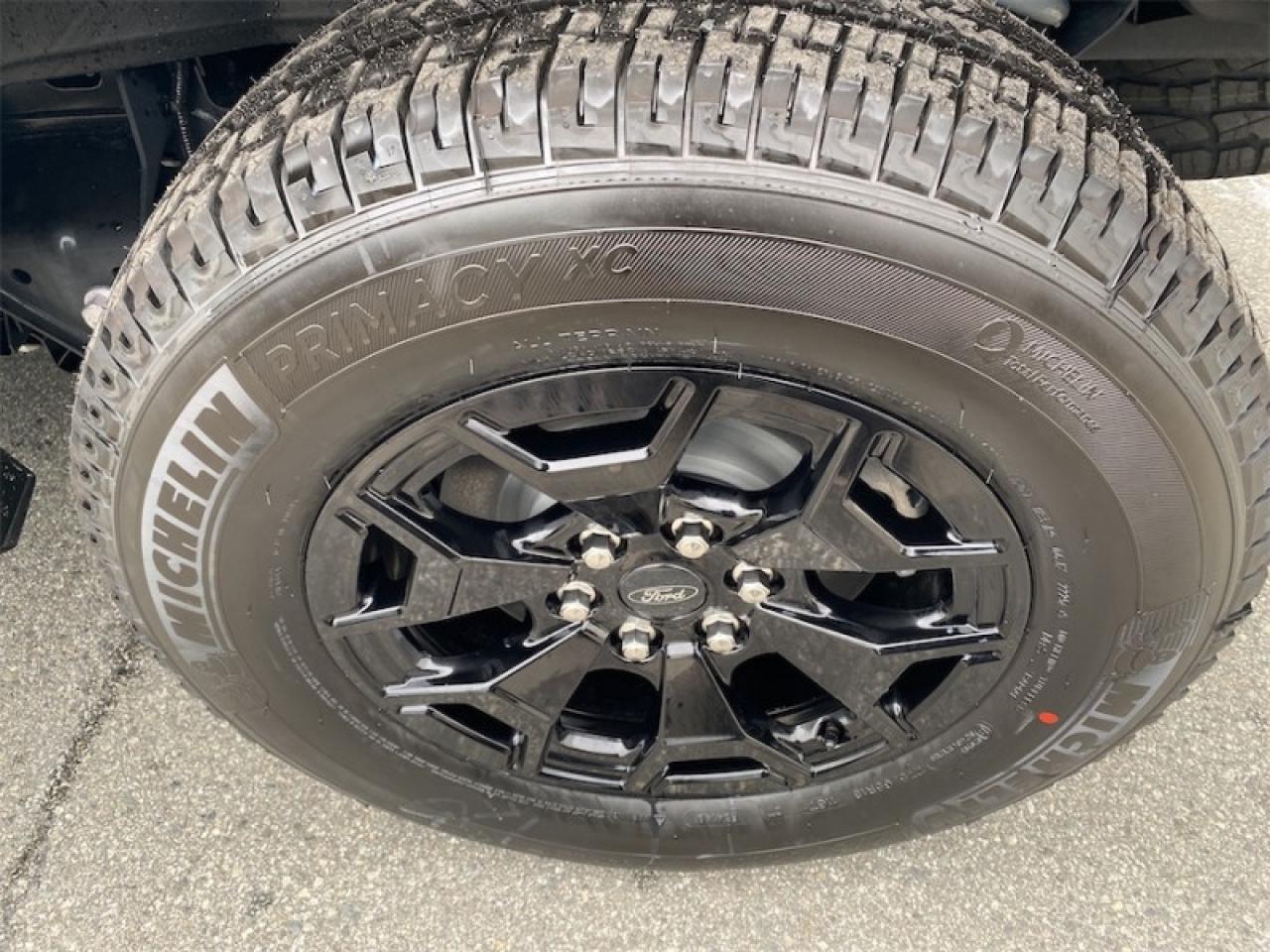 2025 Ford F-150 Lightning XLT  - Tailgate Step Photo5