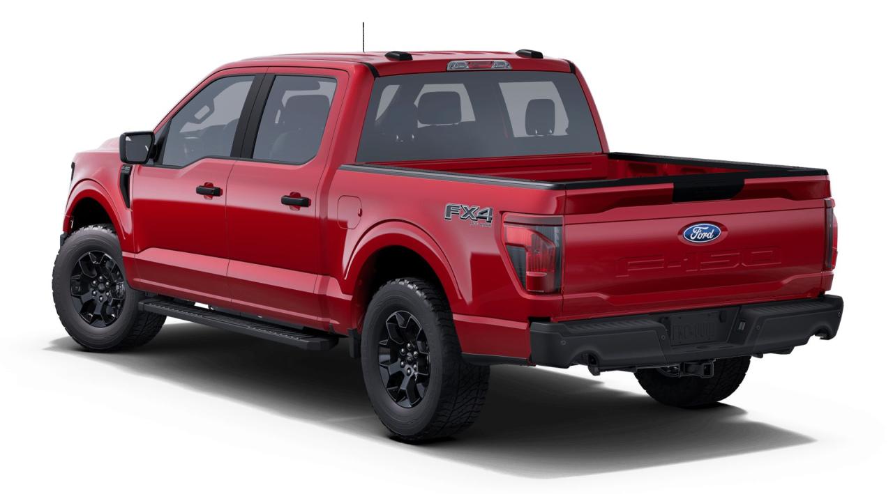 2025 Ford F-150 STX Photo1
