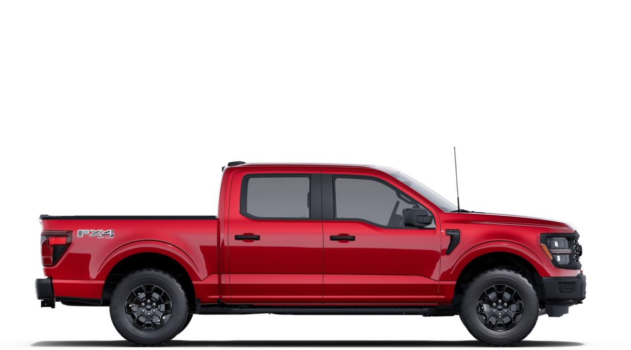 2025 Ford F-150 STX Photo4